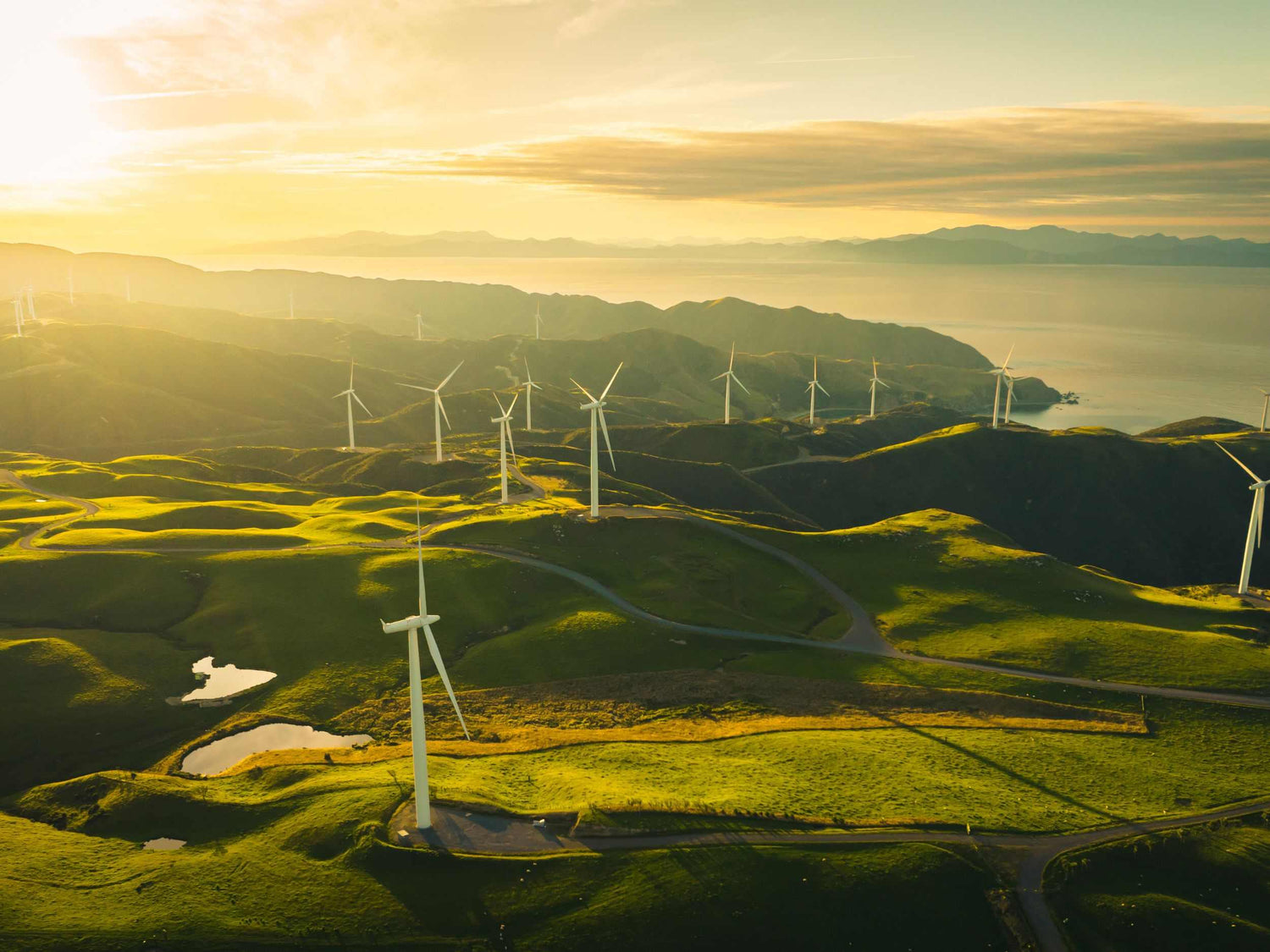 Google Cloud which runs on 100% renewable energy