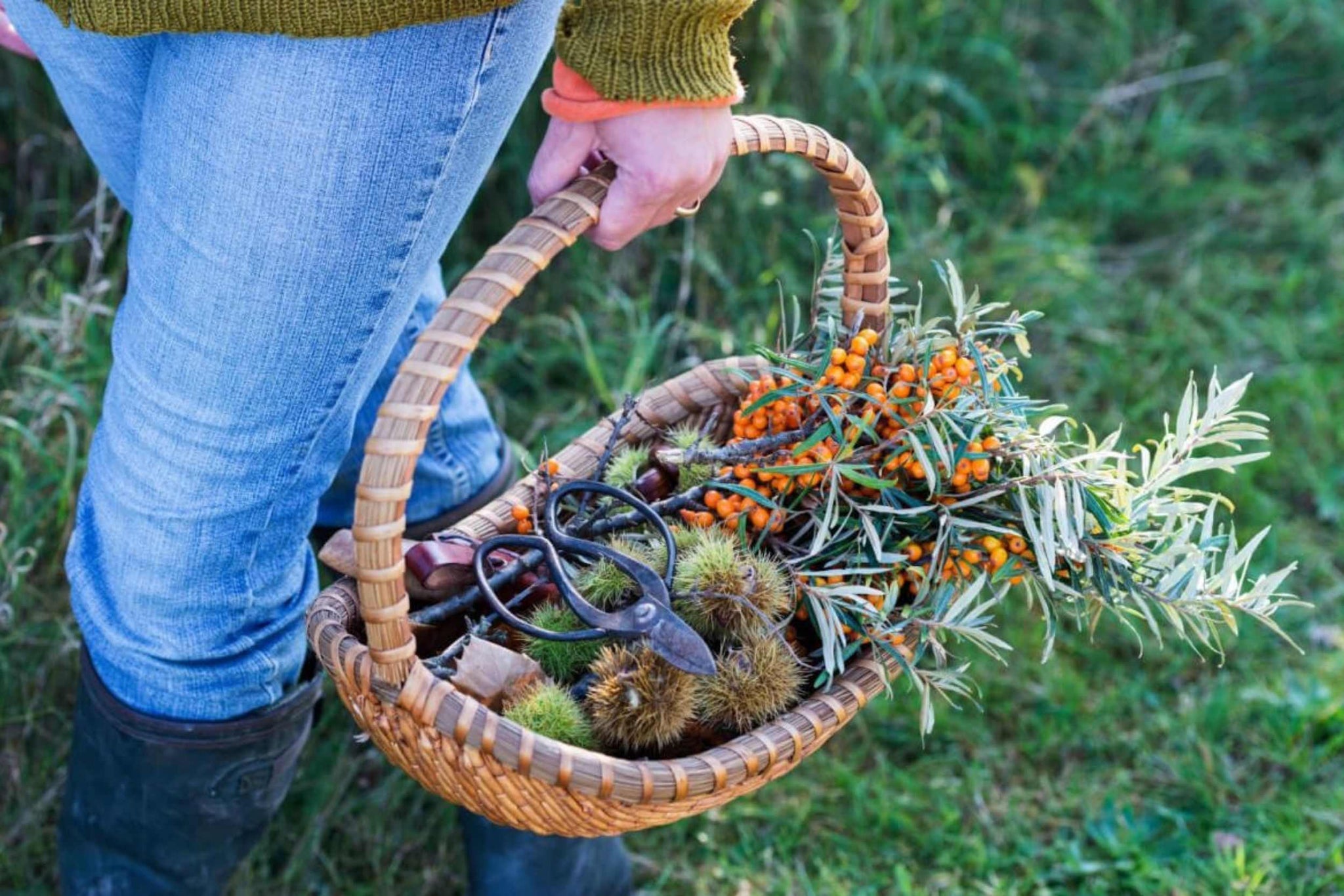 Discover the Benefits of Autumnal Foraging in the UK