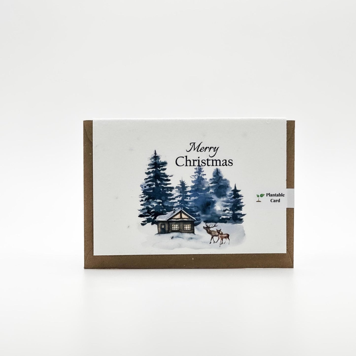 Plantable Christmas Cards | Set of 5
