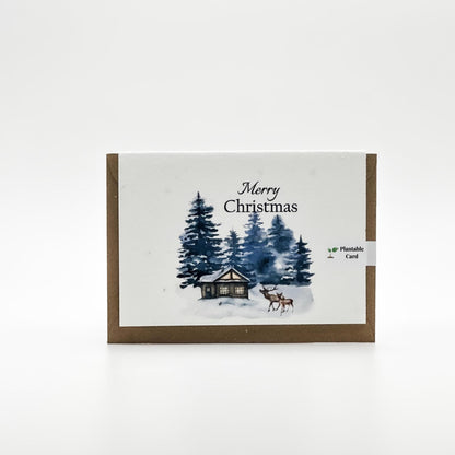 Plantable Christmas Cards | Set of 5