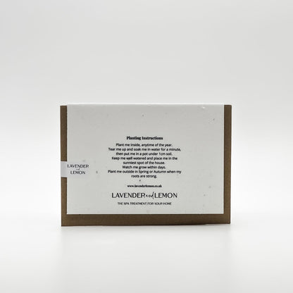 Plantable Christmas Cards | Set of 5