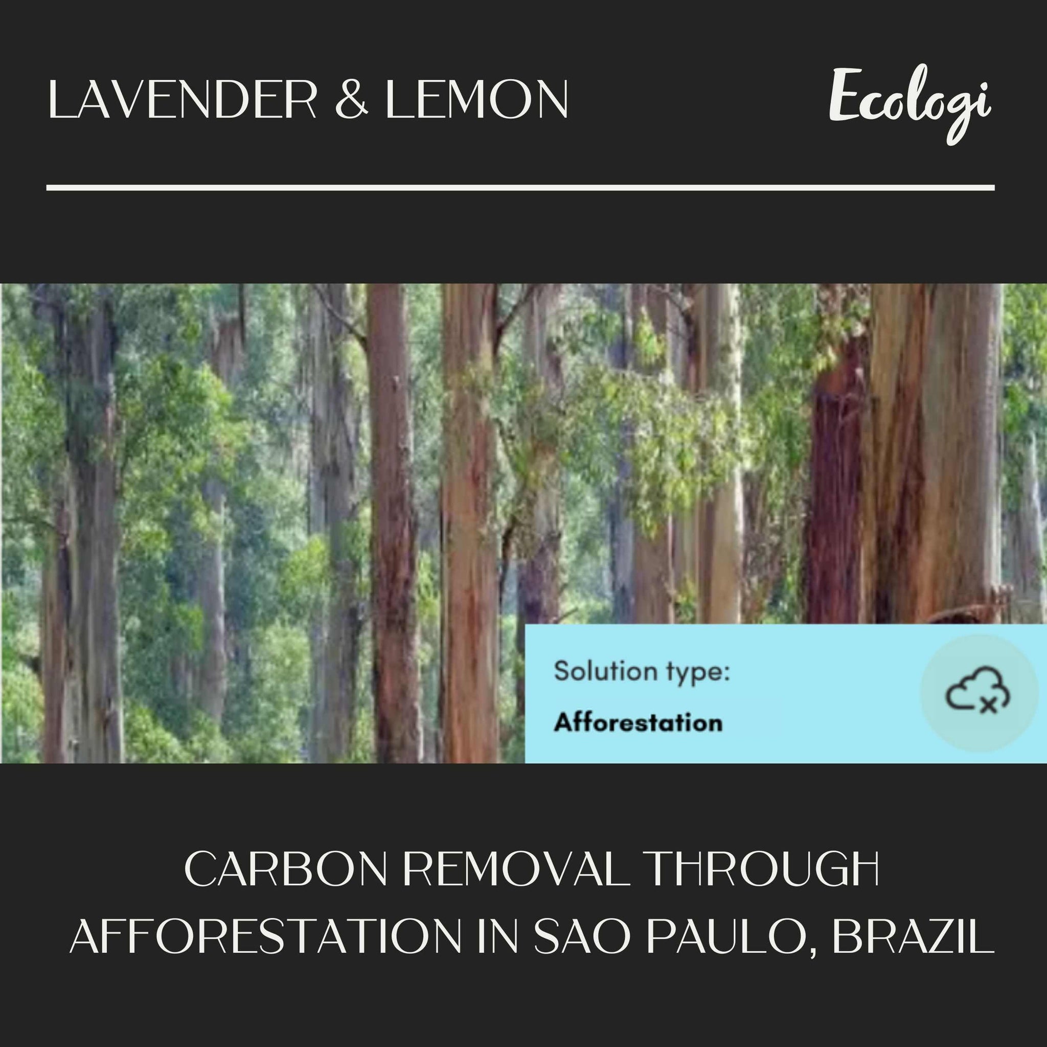 Carbon removal through afforestation in sao paulo, brazil