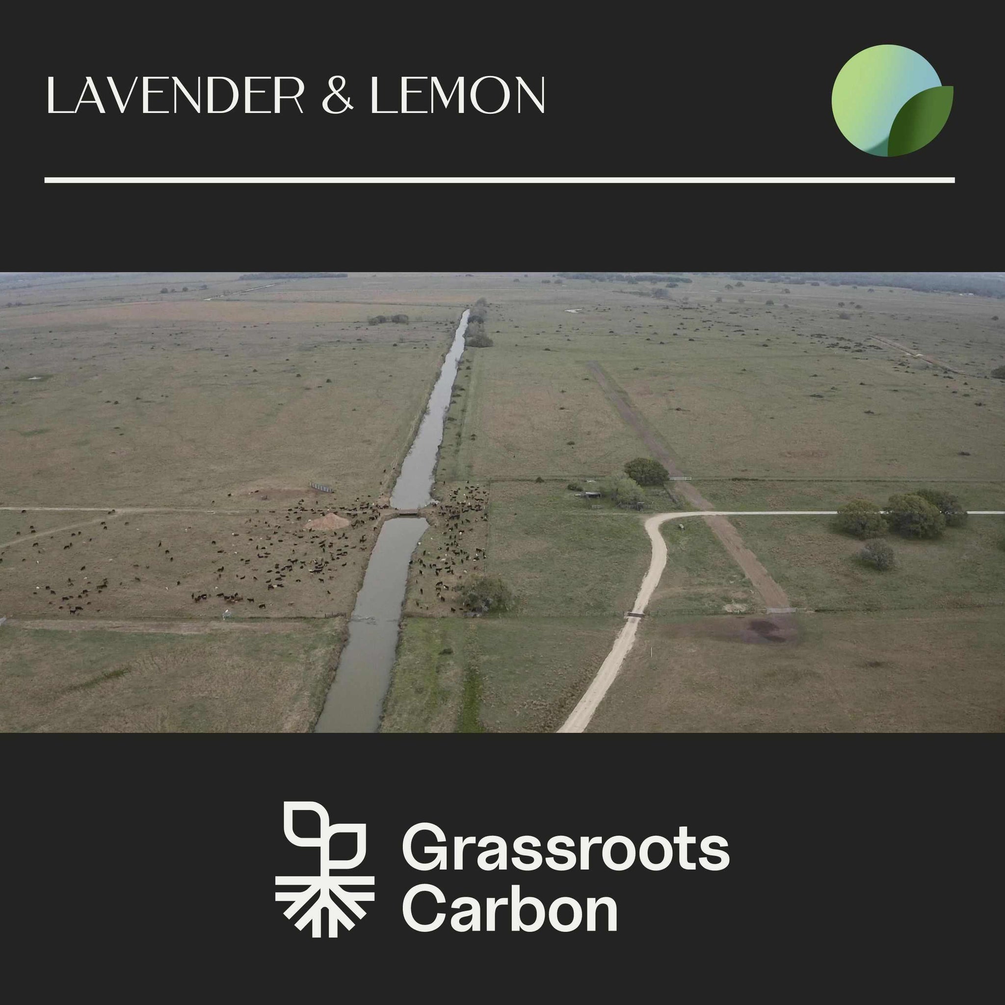 Grassroots Carbon