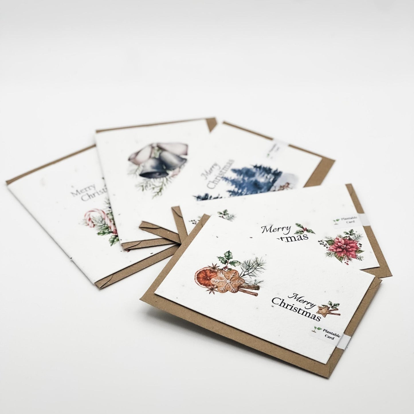 Plantable Christmas Cards | Set of 5