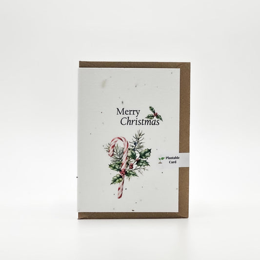 Plantable Christmas Cards | Set of 5