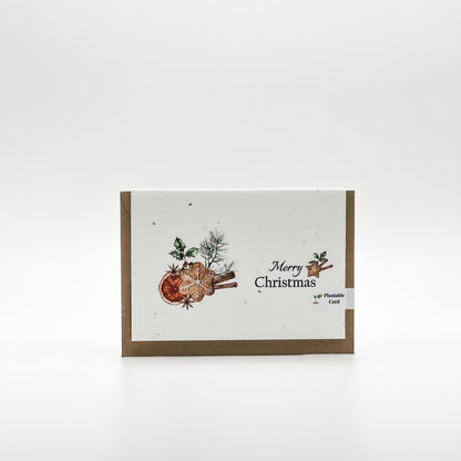 Plantable Christmas Cards | Set of 5