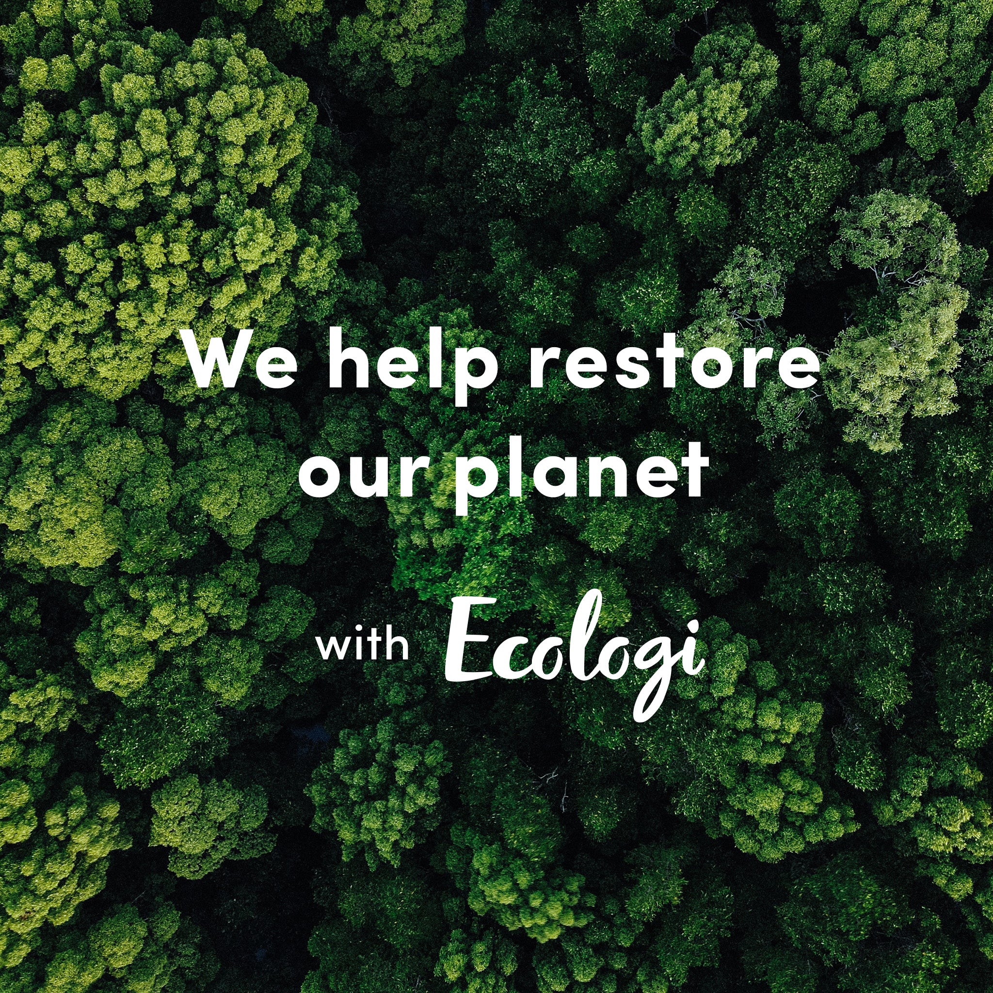 Lavender & Lemon helps restore the planet with Ecologi